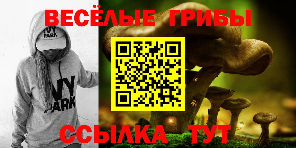 Псилоцибиновые грибы ЛСД  Вход с VPN  Карачаевск 